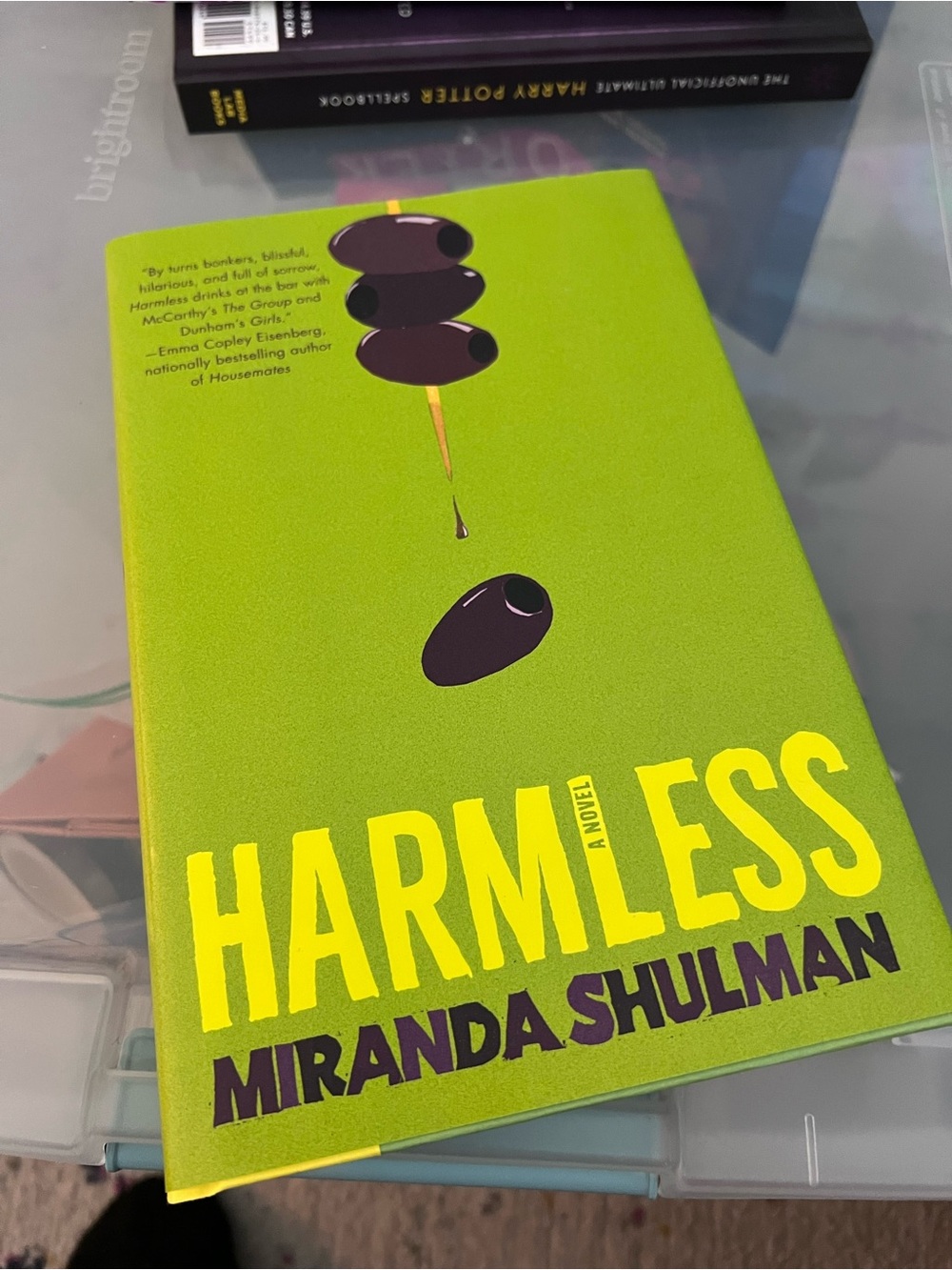 Harmless Decorative Hardcover Book by — Bright Green Accent